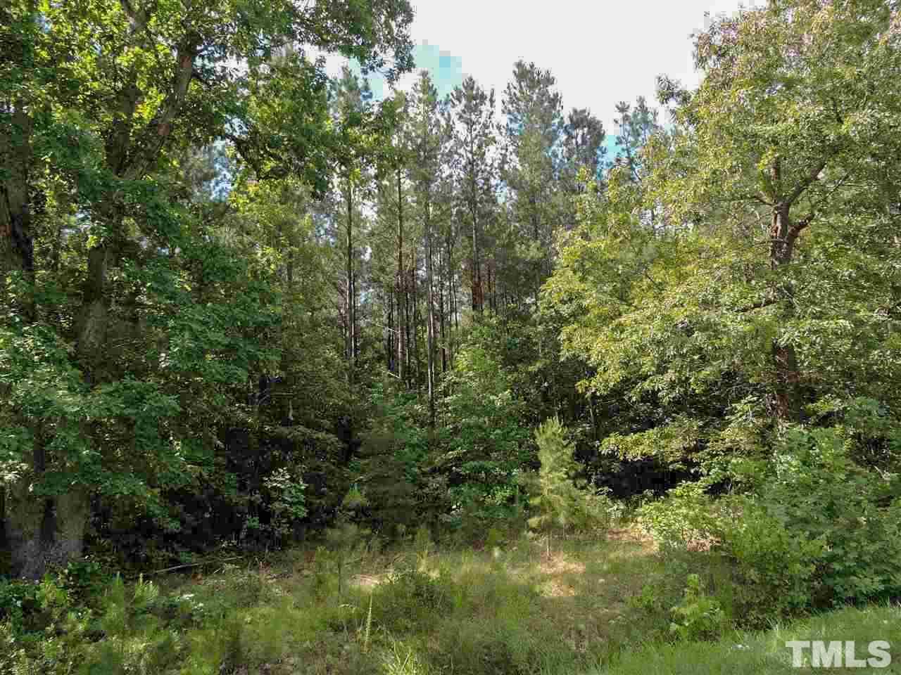 Lot 2 Holeman Ashley Road Timberlake, NC 27583 - Photo 3 of 5 Gallery Image 3