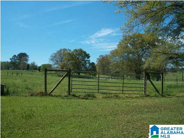 203 Camp Creek Road Vincent, AL 35178 - Photo 3 of 31