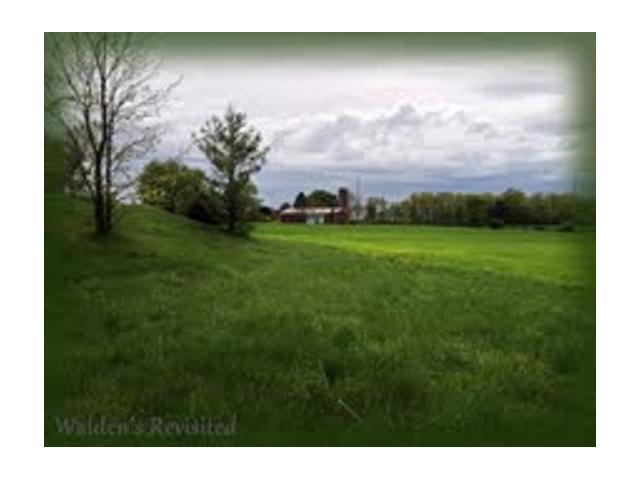 0 Brindle Road, Unit LOT 4 Ostrander, OH 43061 - Photo 2 of 10