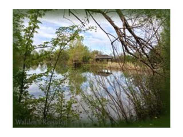 0 Brindle Road, Unit LOT 4 Ostrander, OH 43061 - Photo 10 of 10