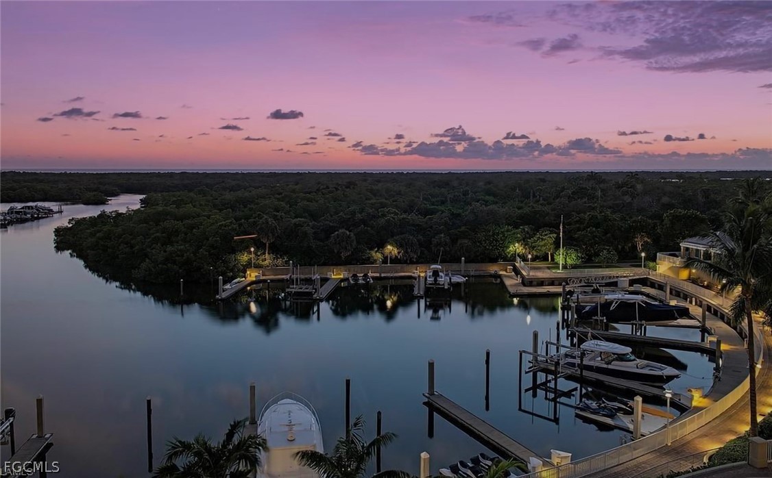 13675 Vanderbilt Drive, Unit 406 Naples, FL 34110 - Photo 42 of 43 a view of a lake