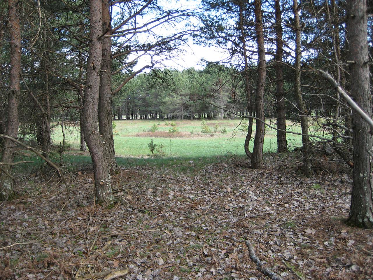 Lot 60 St Marys Road Eagle River, WI 54521 - Photo 4 of 6 Gallery Image 4