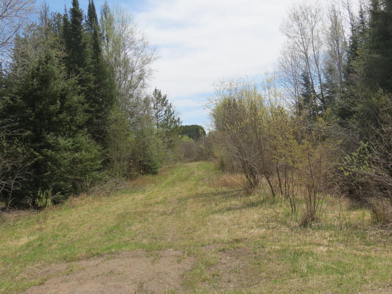 4205 Spur 231 Road Rhinelander, WI 54501 - Photo 4 of 9 Gallery Image 4