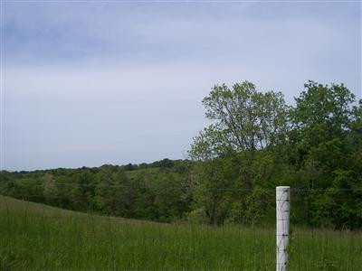 7 Us 25 Street Dry Ridge, KY 41035 - Photo 8 of 10 Photo 8