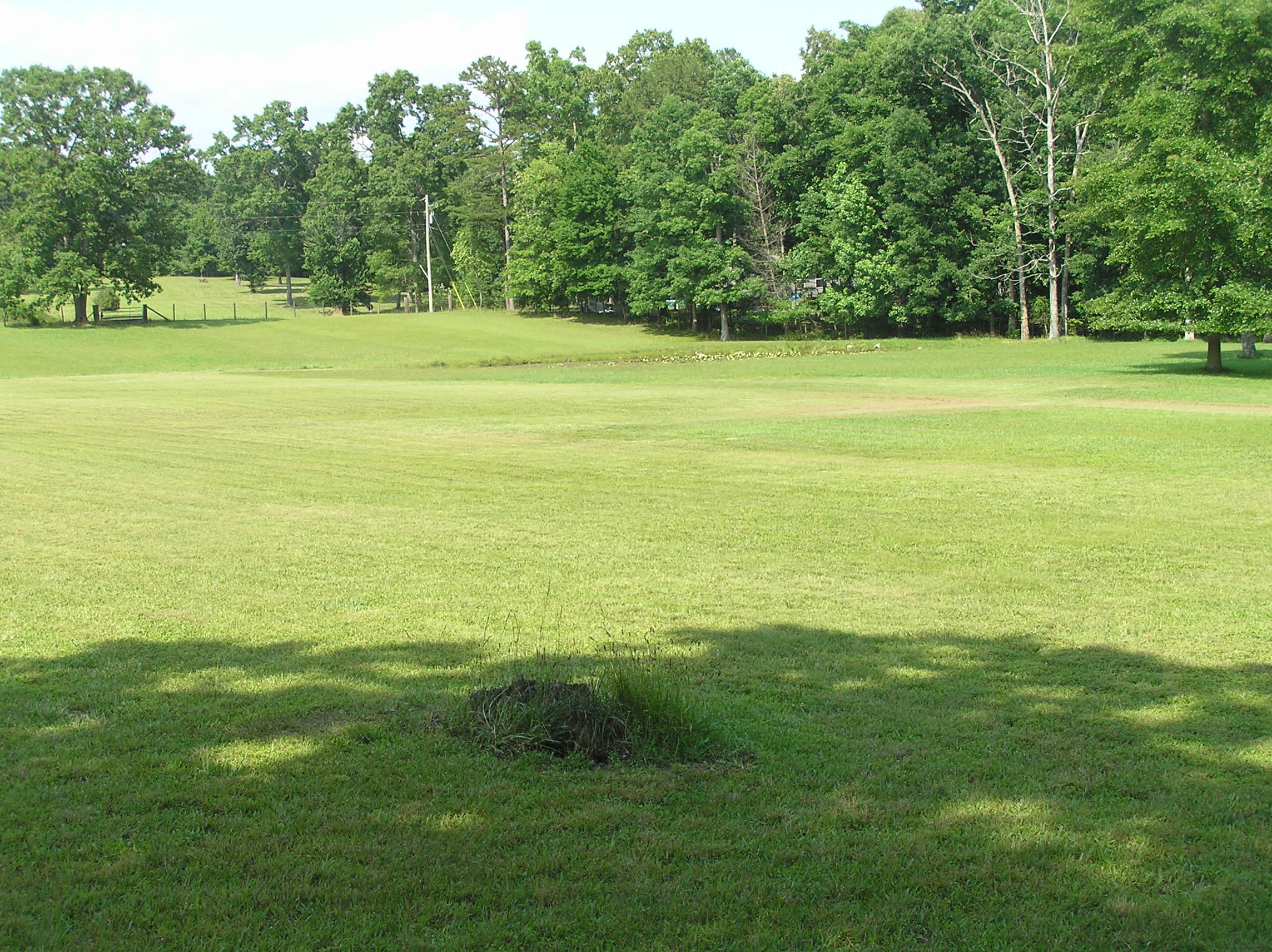 1200 T Crowe Road Soddy-Daisy, TN 37379 - Photo 11 of 41 P1010007
