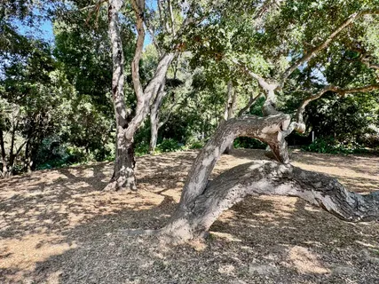 $6,850,000 | 1445 School House Road, Montecito, CA 93108