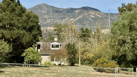 a view of a yard with plants and trees