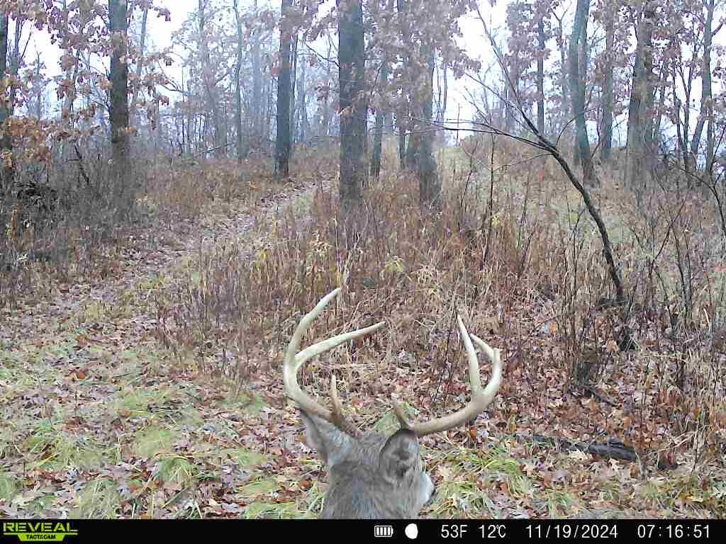 N7003 County Road West Holmen, WI 54636 - Photo 5 of 78 IMG_3355