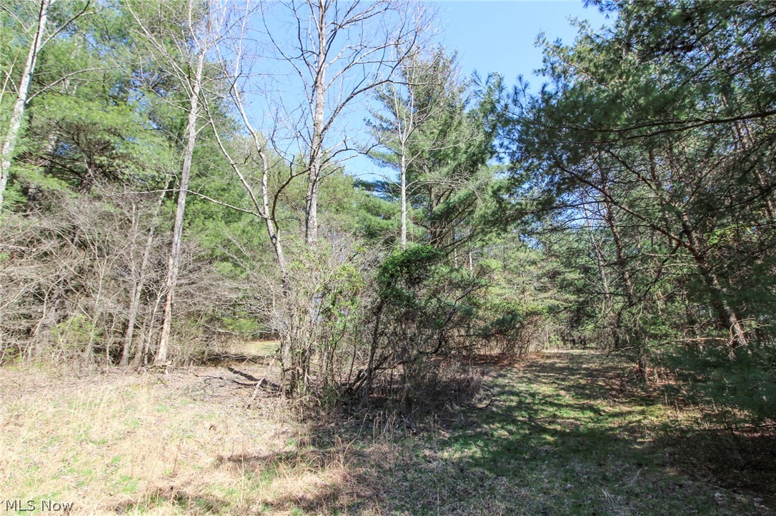 West Union Road Sardis, OH 43946 - Photo 16 of 18 View of nature