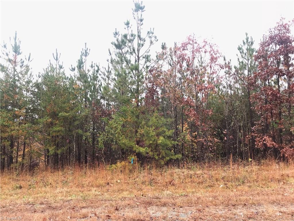 8876 Colgate Road Stokesdale, NC 27357 - Photo 1 of 2 Gallery Image 1