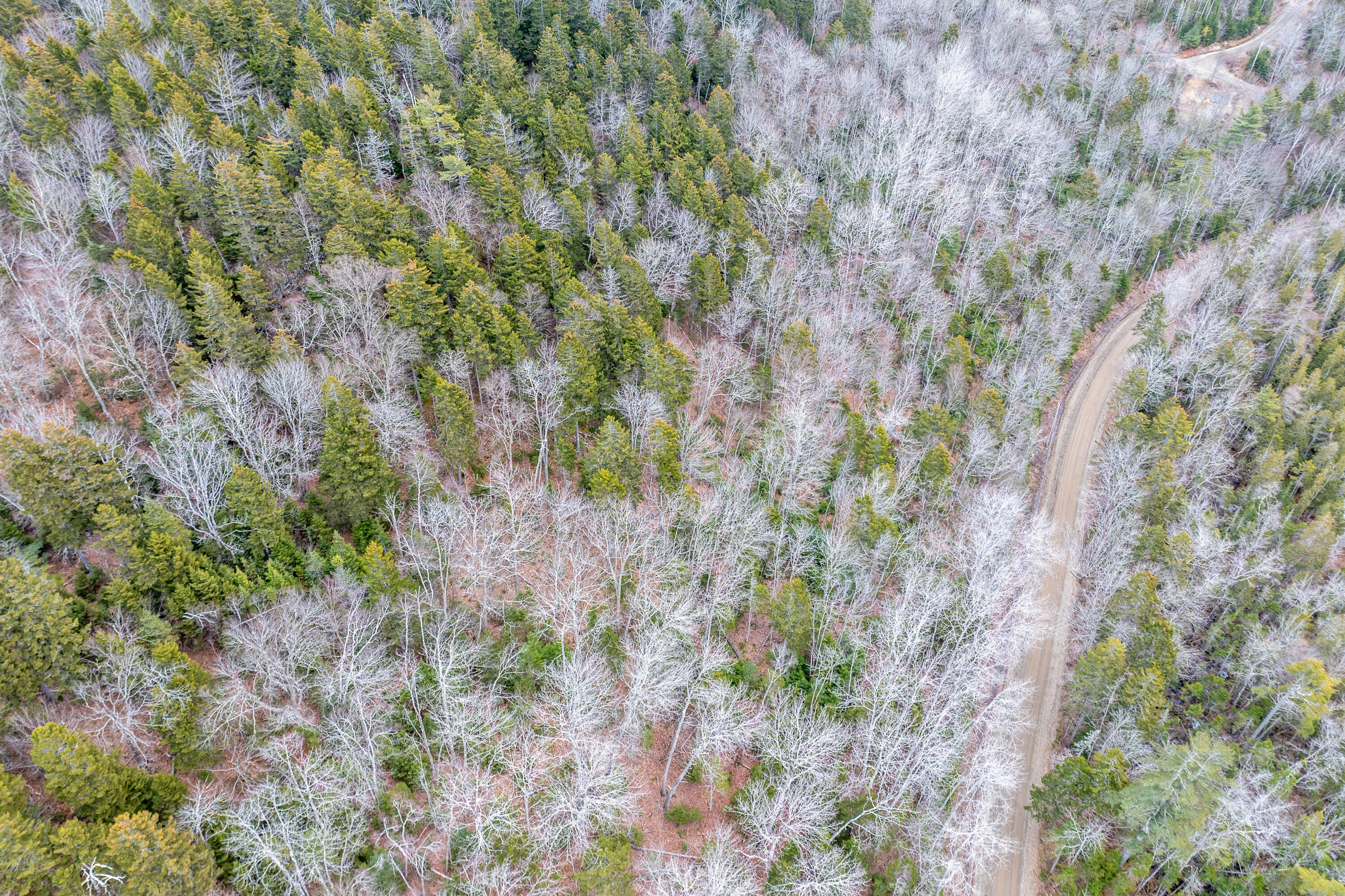 237 Knights Pond Road Northport, ME 04849 - Photo 13 of 29 DJI_20260402170222_0463_D