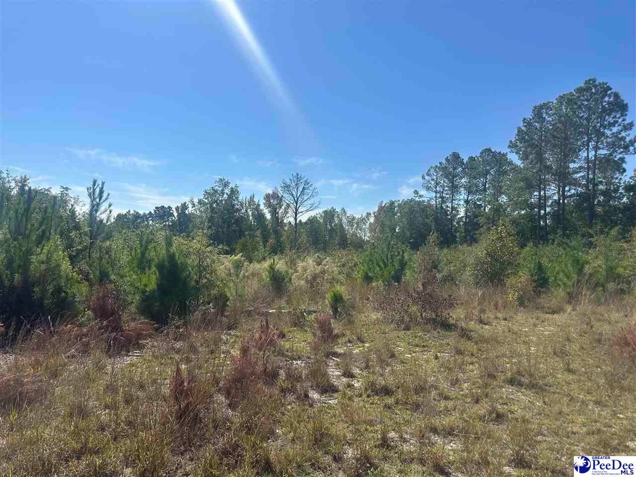 Hallelujah Road Mount Croghan, SC 29727 - Photo 1 of 5 Gallery Image 1