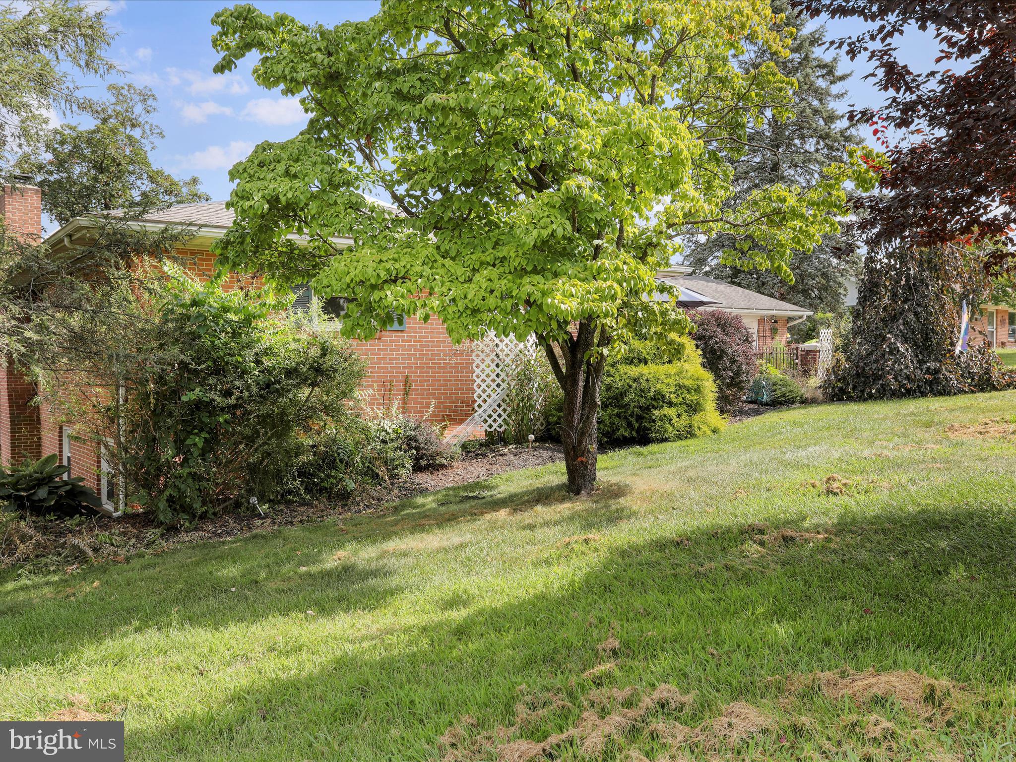 26 Kensington Drive Chambersburg, PA 17201 - Photo 43 of 44 a fire hydrant in the middle of a field