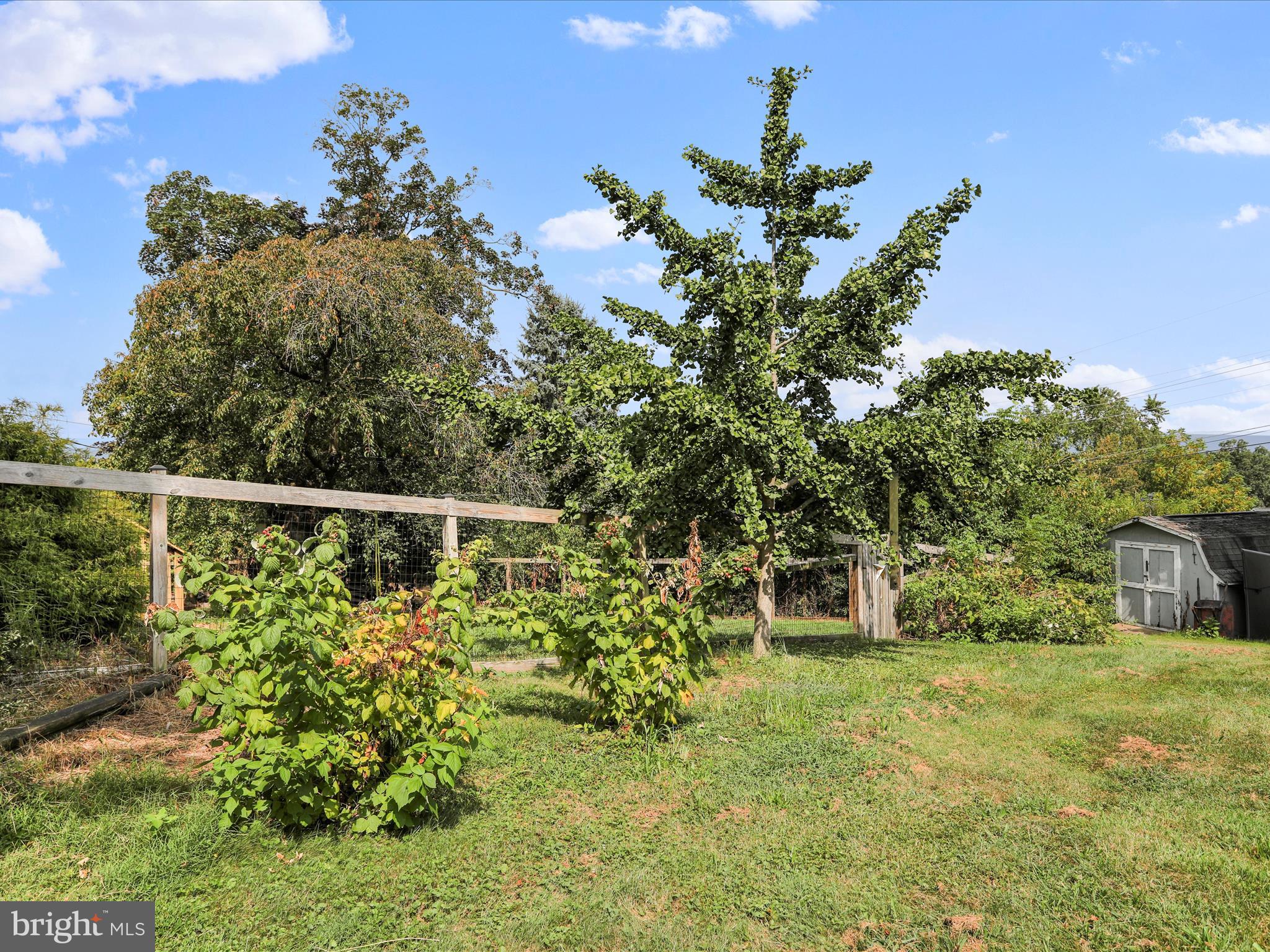 26 Kensington Drive Chambersburg, PA 17201 - Photo 44 of 44 a view of a garden