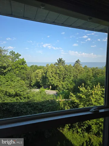 a view of a green yard