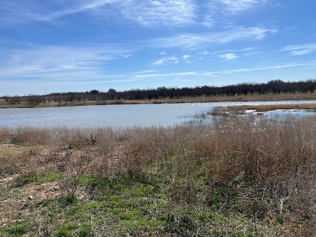 0 US Highway 283 Lohn, TX 76852 - Photo 9 of 21