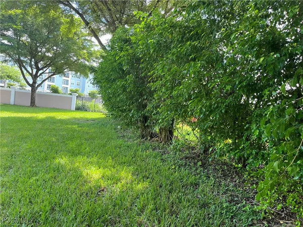a view of a yard with plants and trees