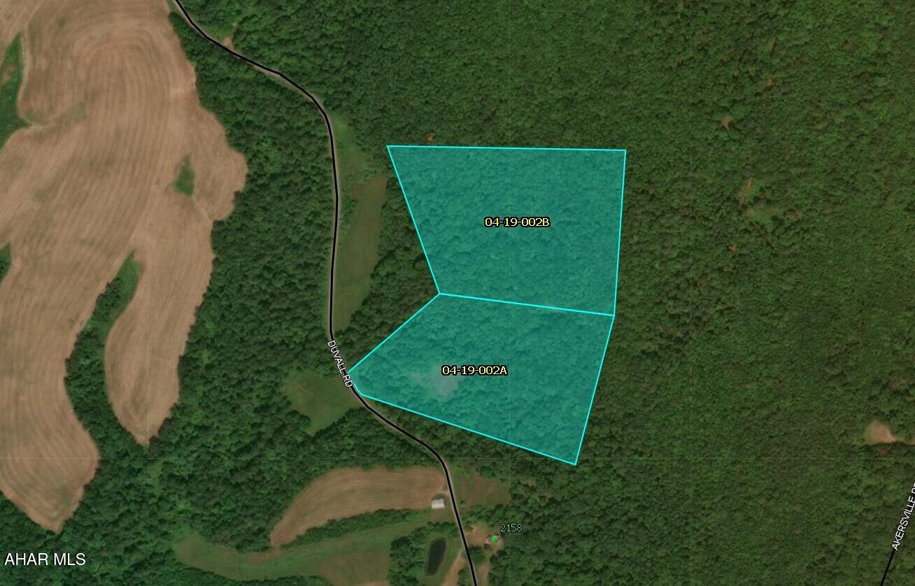 Lot Duvall Duvall Road Crystal Spring, PA 15536 - Photo 6 of 6