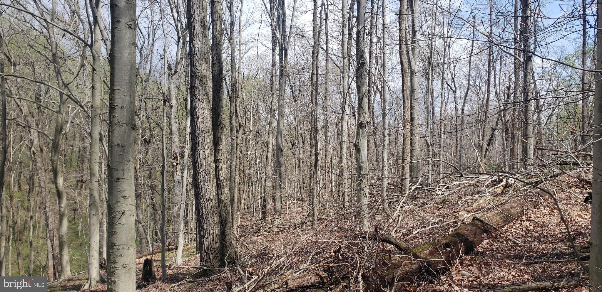 150 London Tract Road Landenberg, PA 19350 - Photo 2 of 5 Gallery Image 2