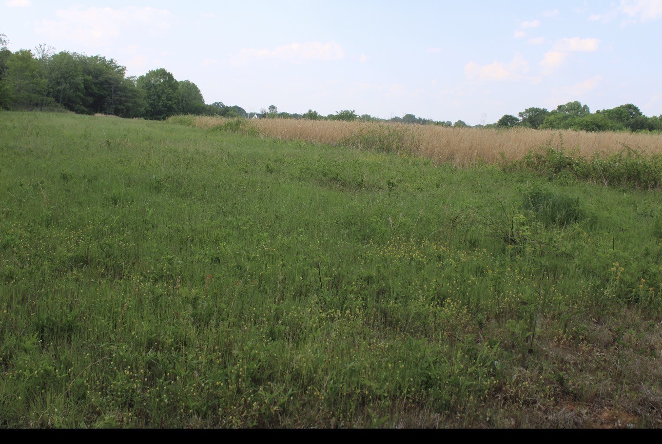 3 Midland Fosterville Road Bell Buckle, TN 37020 - Photo 8 of 16 Gallery Image 8