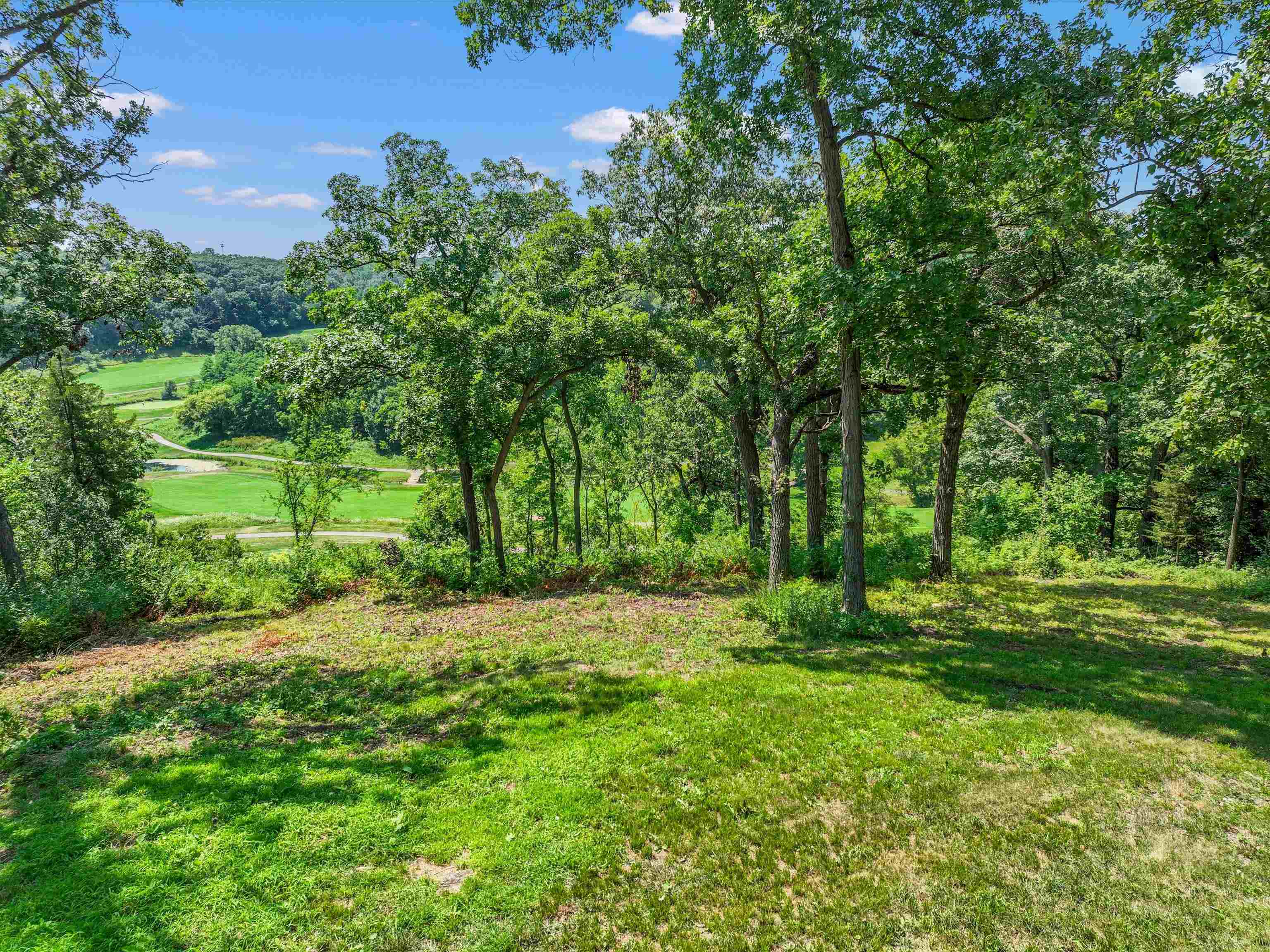 19 Cedar Rim Trail Galena, IL 61036 - Photo 69 of 72 Gallery Image 69