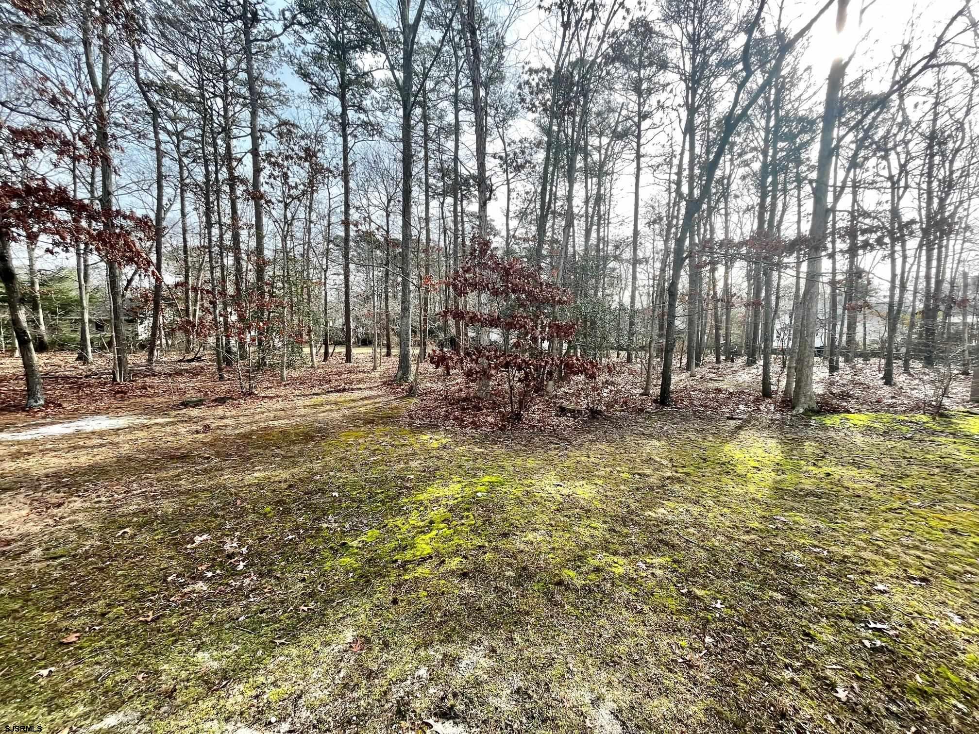 1443 Stagecoach Road Ocean View, NJ 08230 - Photo 20 of 22 Gallery Image 20