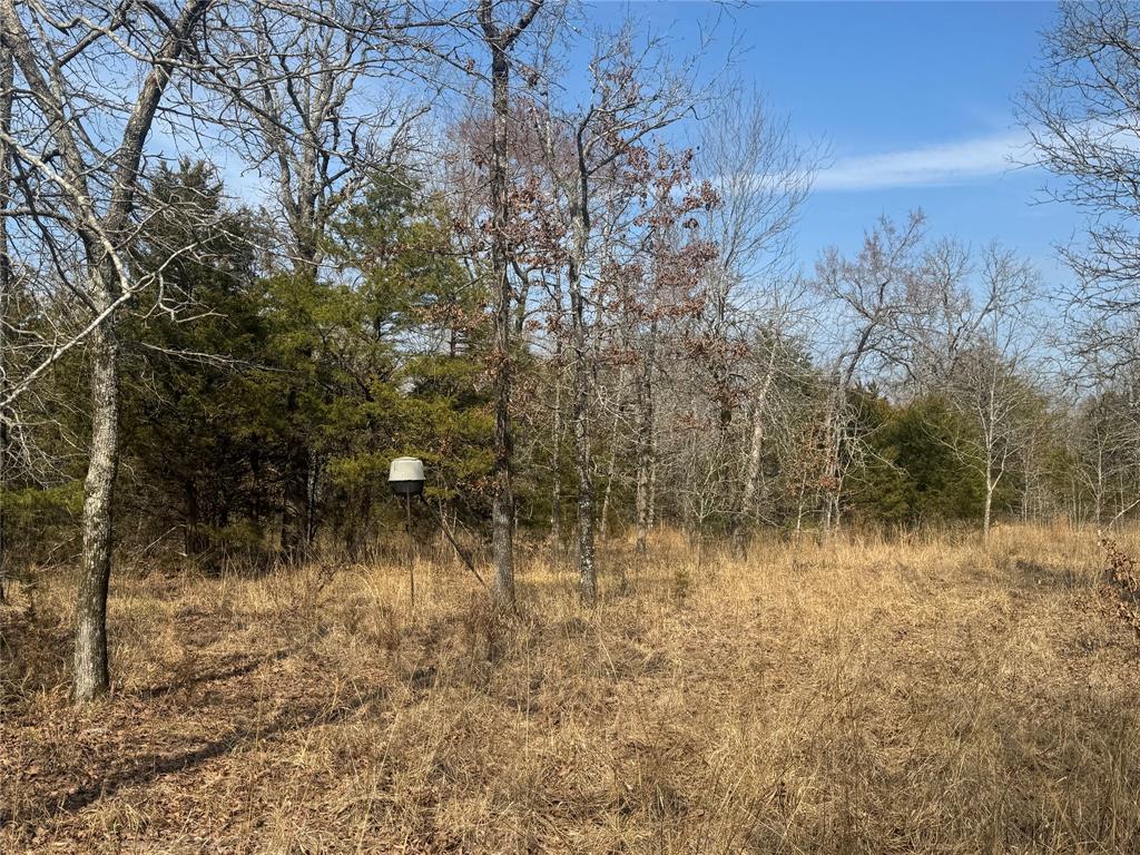 0 East 1931st Road Rattan, OK 74562 - Photo 9 of 40 a view of lake with a tree