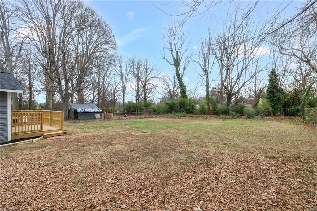 910 Charlotte Avenue High Point, NC 27262 - Photo 20 of 24