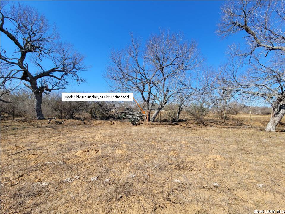 15785 Kilowatt Road Elmendorf, TX 78112 - Photo 19 of 23 a view of a yard with wooden fence