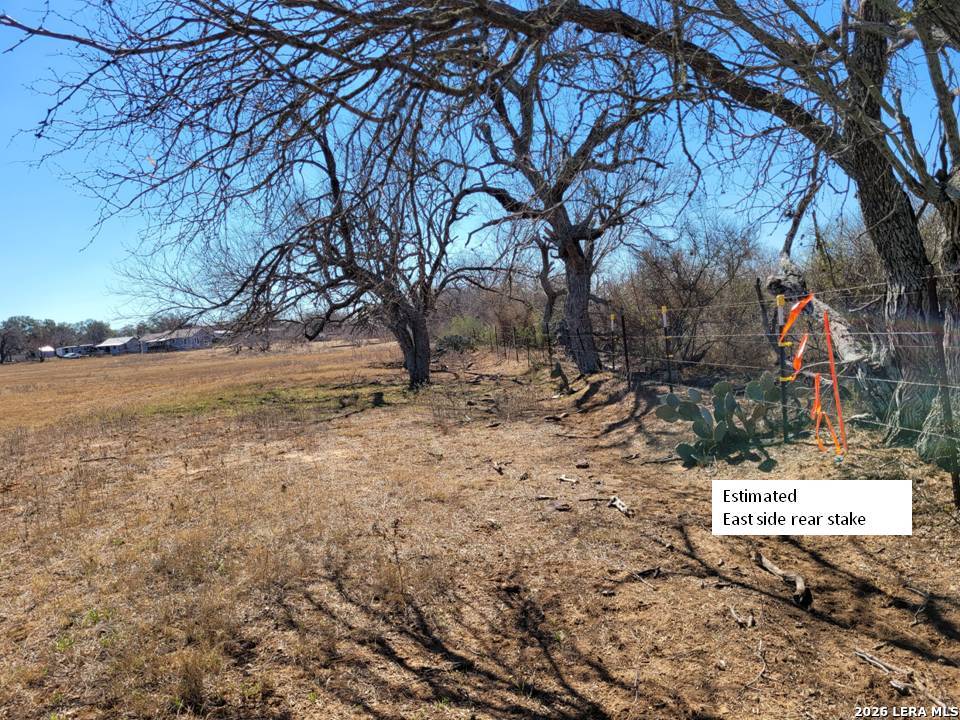 15785 Kilowatt Road Elmendorf, TX 78112 - Photo 20 of 23 a view of a yard with trees