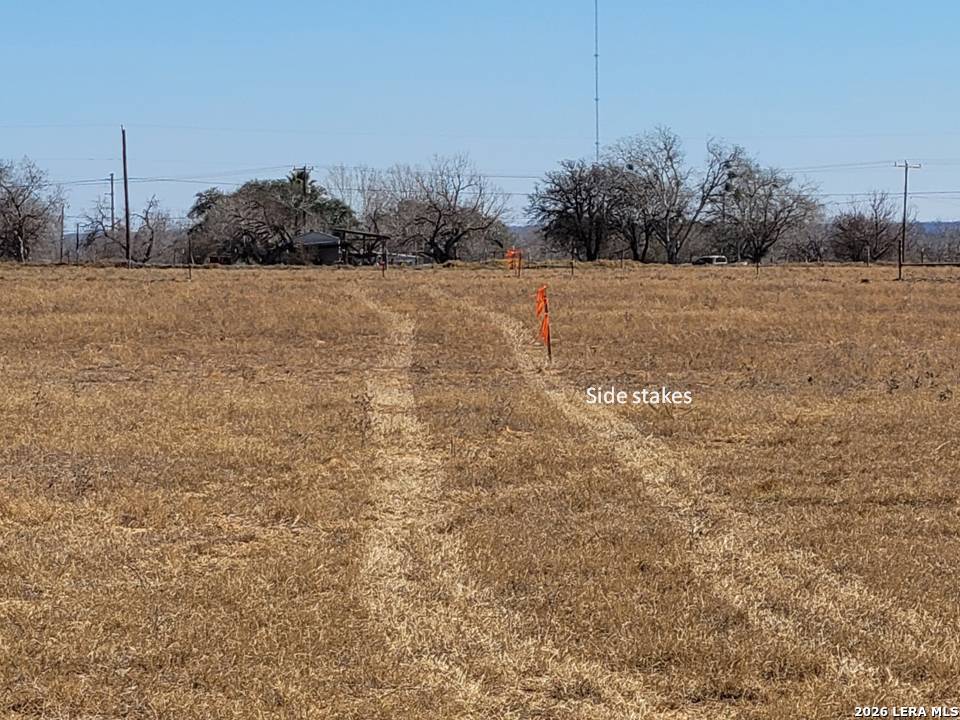15785 Kilowatt Road Elmendorf, TX 78112 - Photo 22 of 23 a view of a field with a tree in it