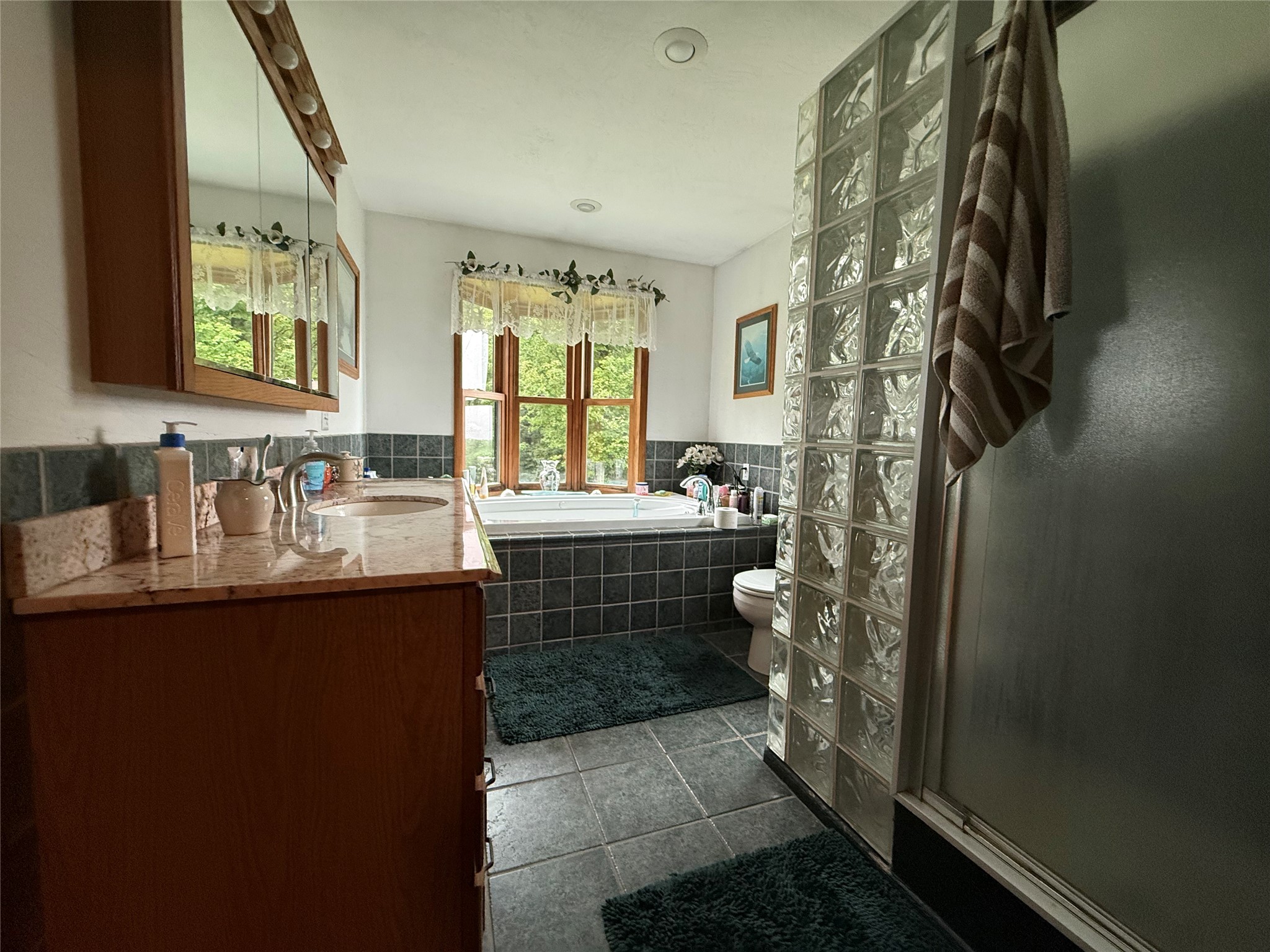 5074 South Ripley Road Ripley, NY 14775 - Photo 21 of 27 Primary Bathroom