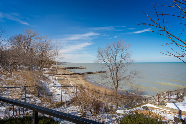 1630 Sheridan Road, Unit 4EF Wilmette, IL 60091 - Photo 25 of 25 a view of a small yard