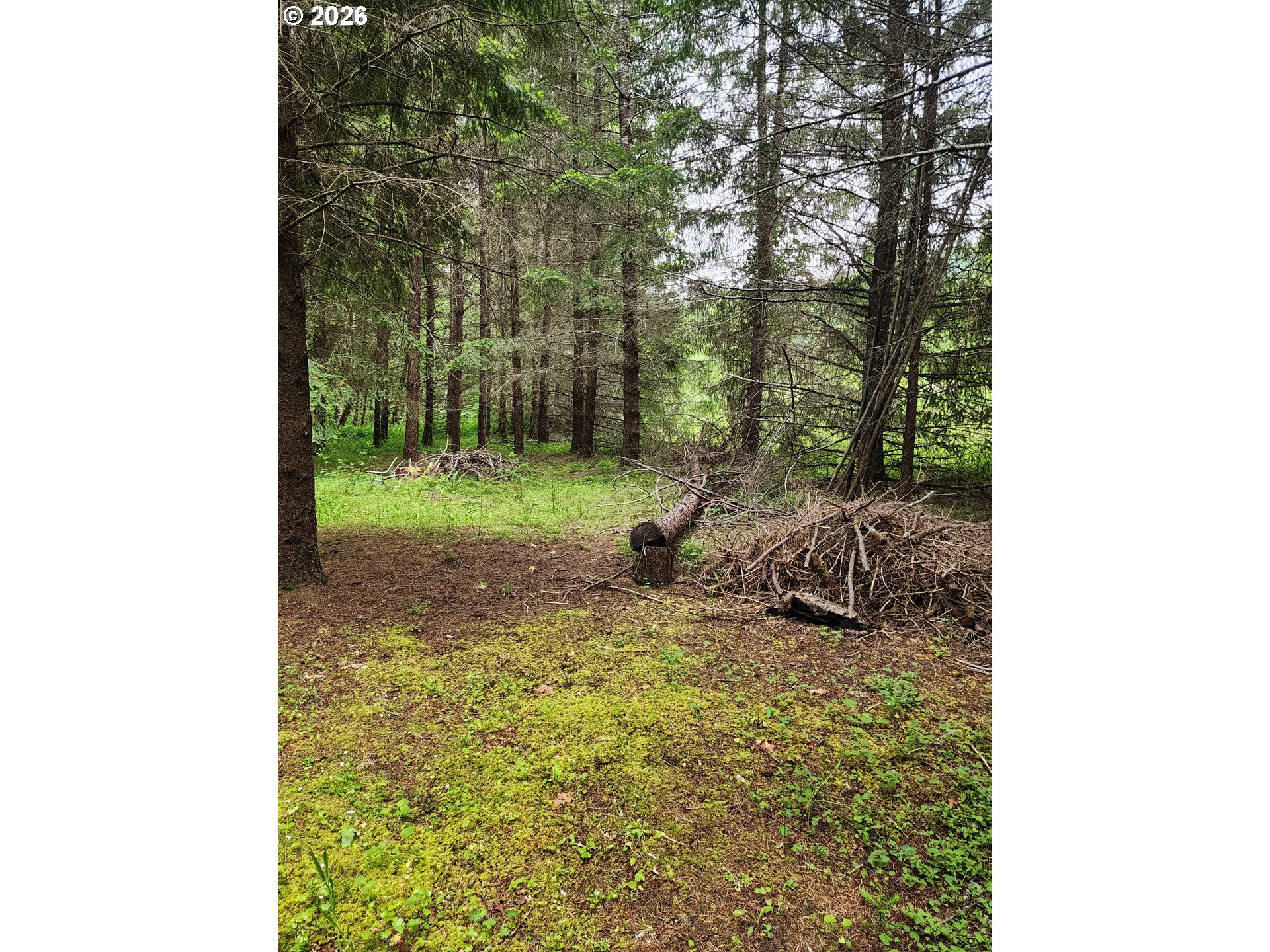 0 Louis Creek Road Myrtle Creek, OR 97457 - Photo 11 of 20