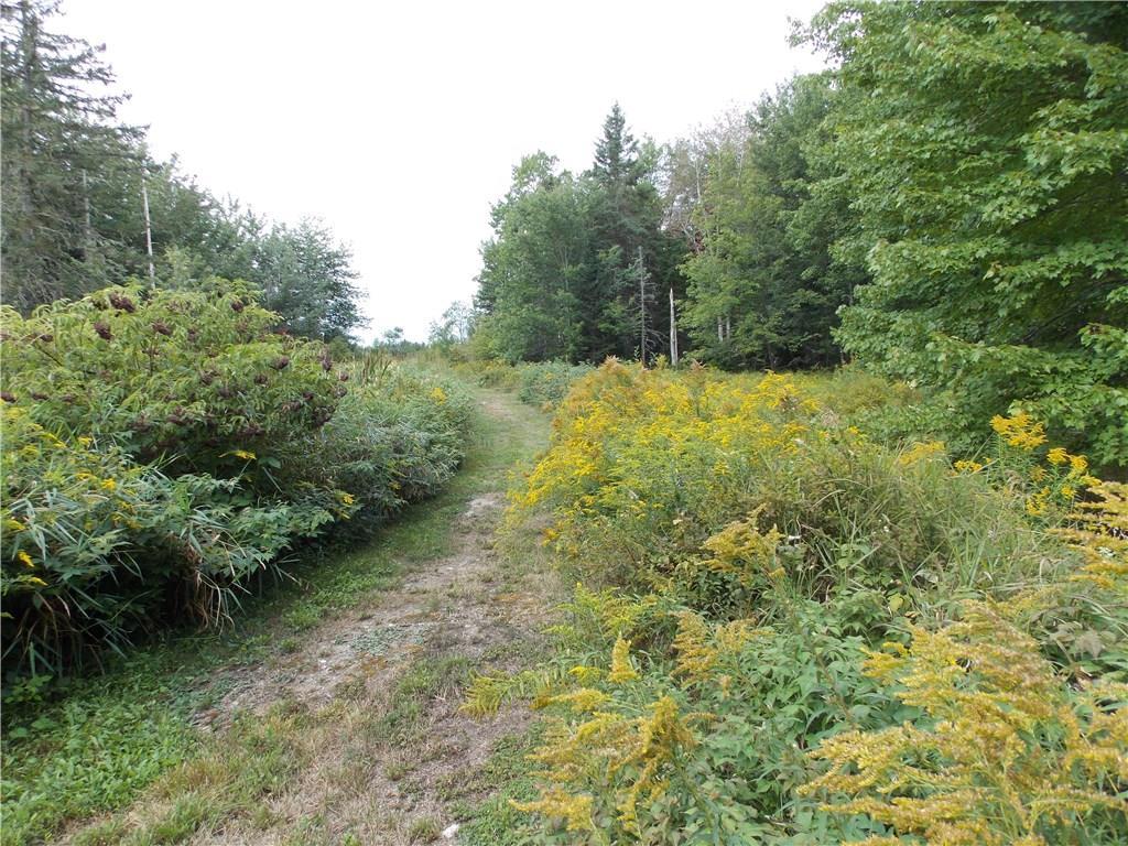 408.5 North Penobscot Road Penobscot, ME 04476 - Photo 10 of 13 Photo