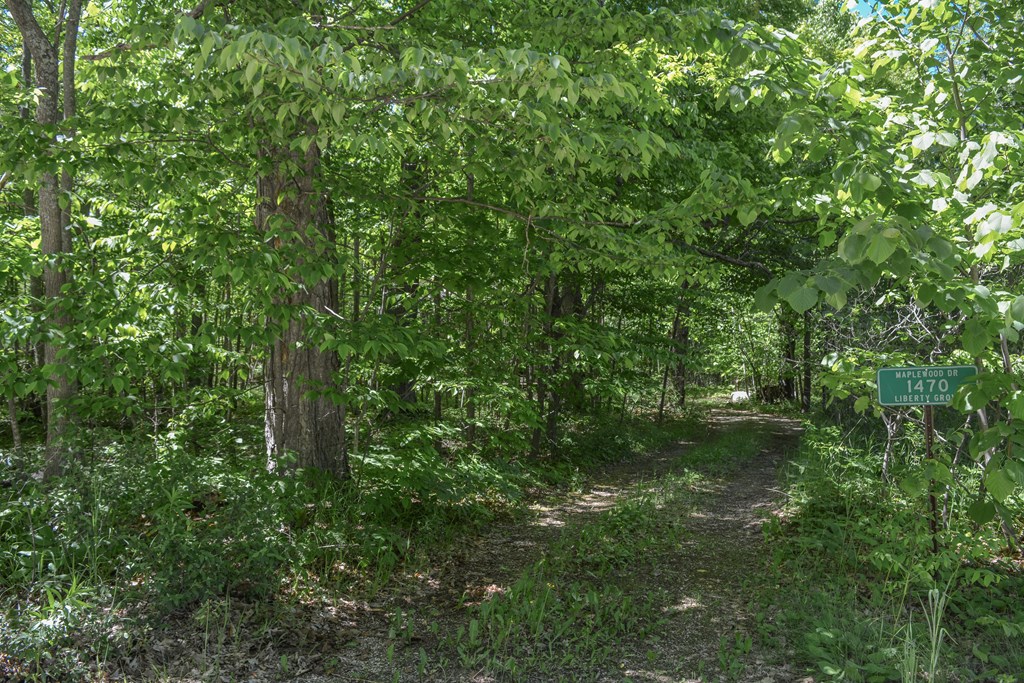 1470 Maplewood Road Ellison Bay, WI 54210 - Photo 8 of 44 Gallery Image 8