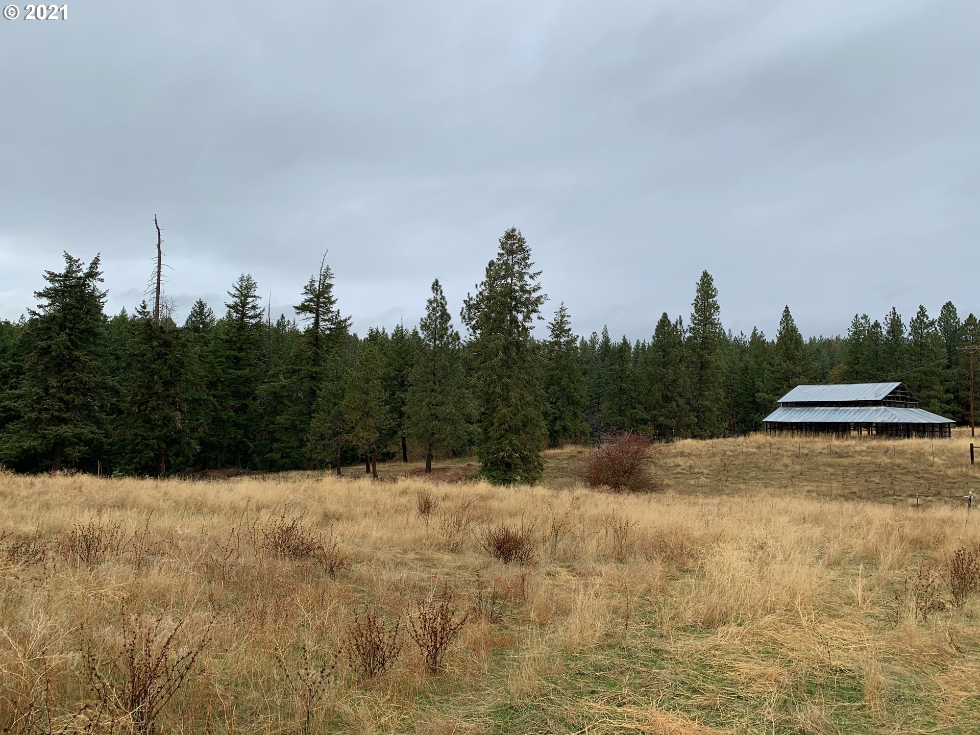 449 Hunter Road Goldendale, WA 98620 - Photo 3 of 23 Gallery Image 3