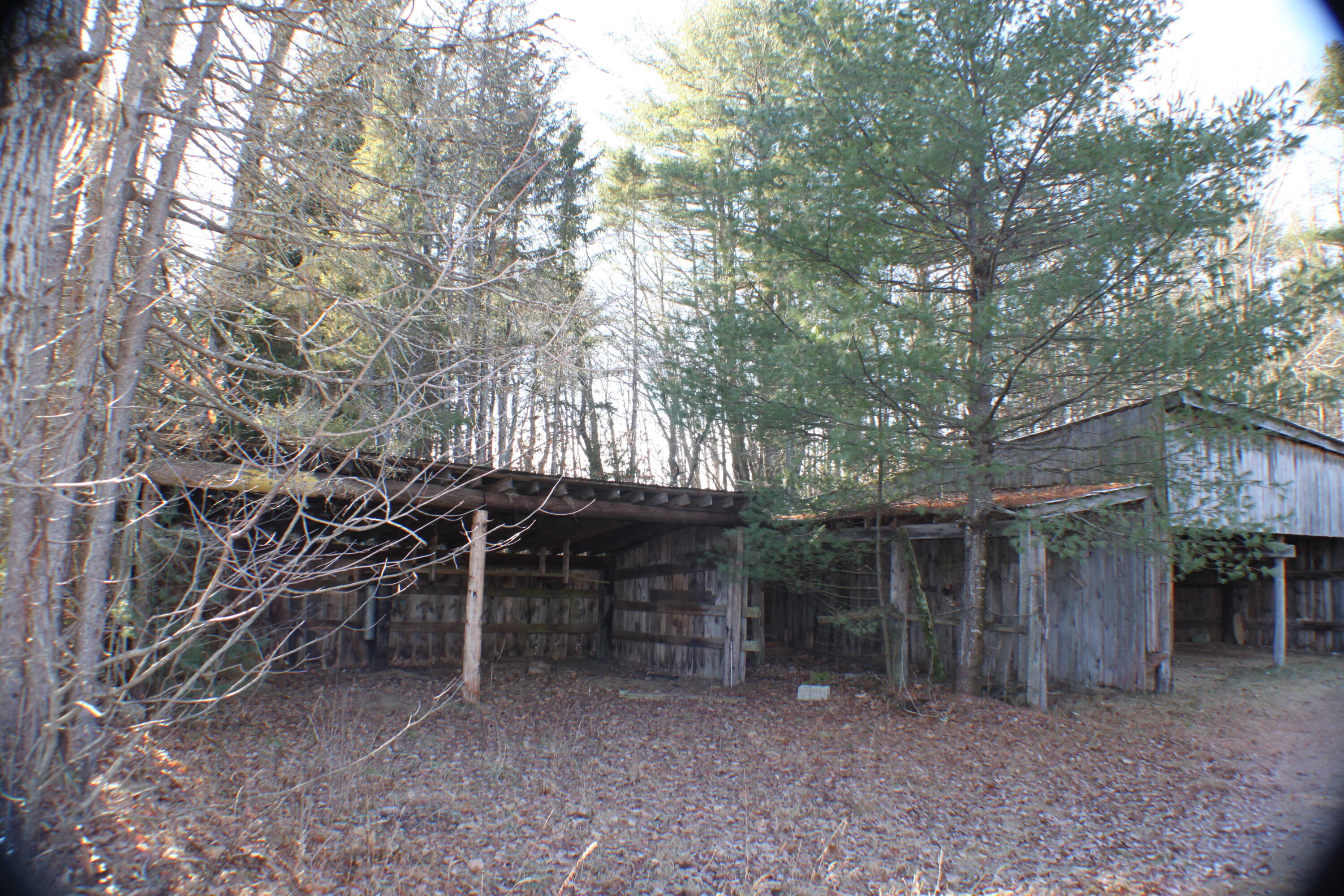 55 Beech Ridge Road North Berwick, ME 03906 - Photo 46 of 49 Pole Barn
