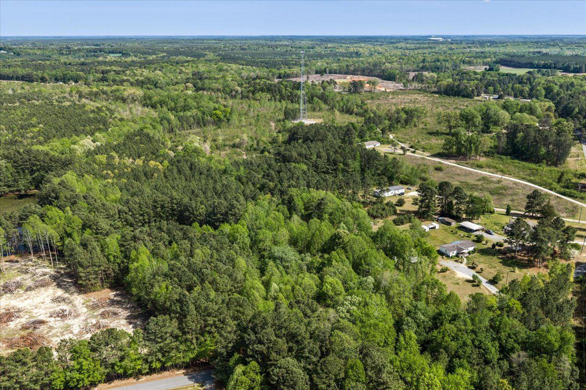Lot 96 Sturgeon Road Lawrenceville, VA 23868 - Photo 10 of 23