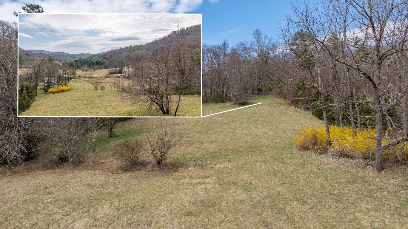 1900 Bee Tree Road Glenville, NC 28736 - Photo 2 of 38 Gallery Image 2
