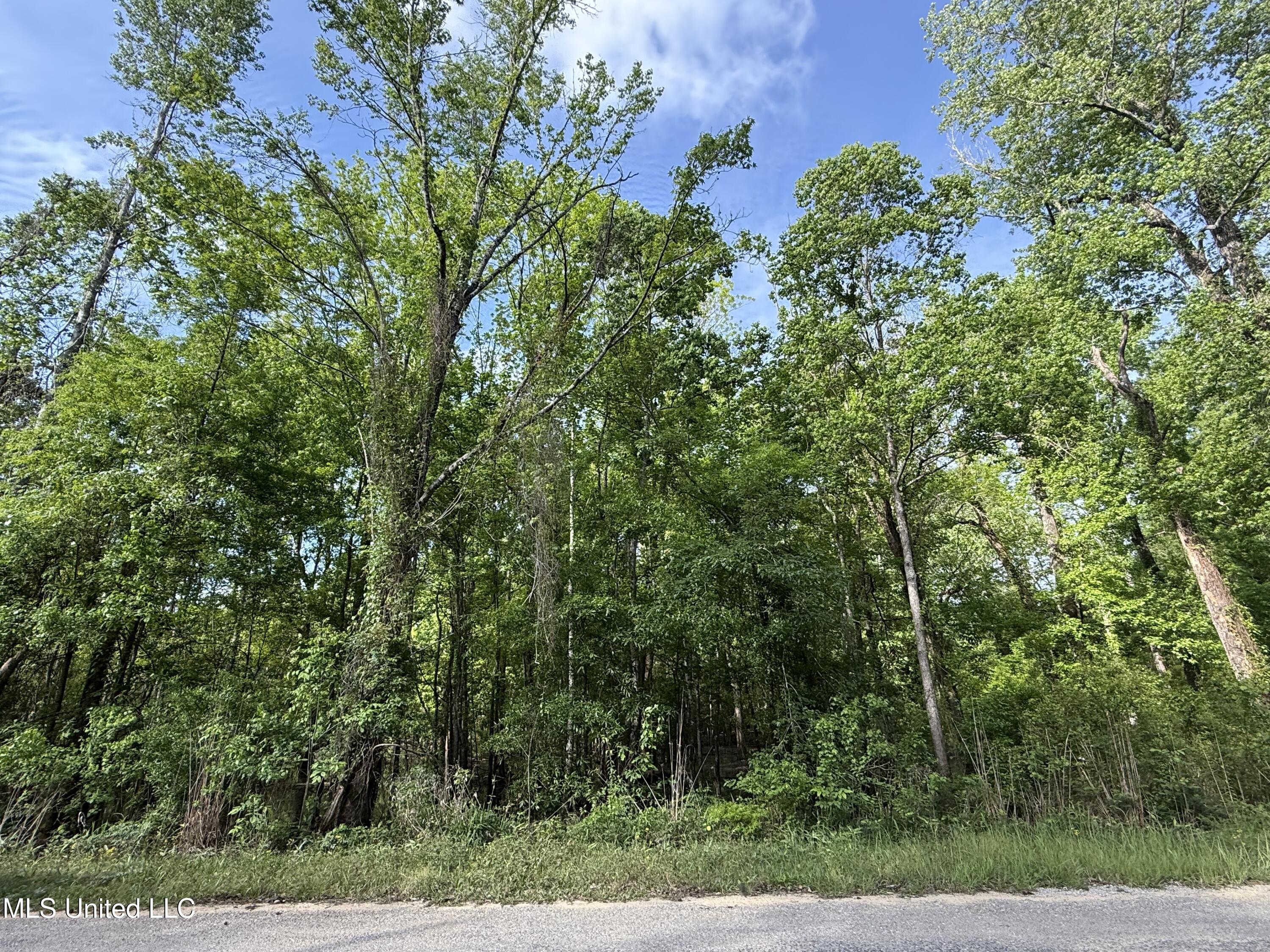 Nhn Maple Drive Lucedale, MS 39452 - Photo 1 of 3 Street View