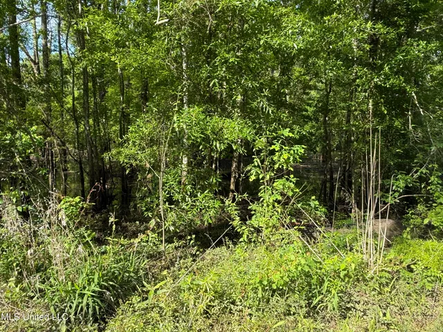 $20,000 | Nhn Maple Drive, Lucedale, MS 39452