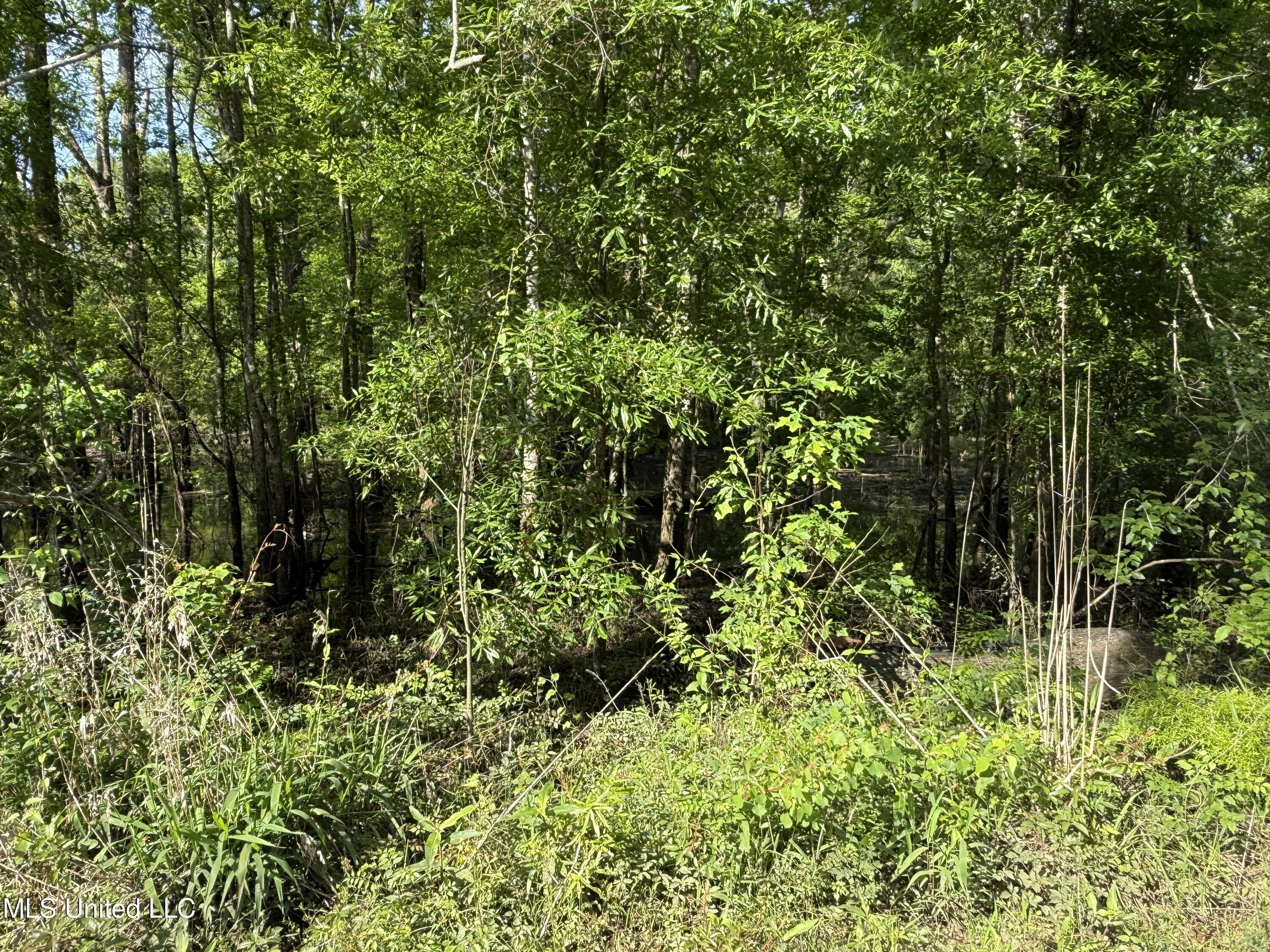 Nhn Maple Drive Lucedale, MS 39452 - Photo 2 of 3 IMG_0311