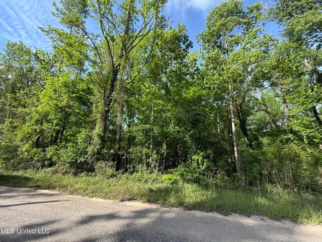 $20,000 | Nhn Maple Drive, Lucedale, MS 39452