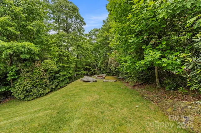 a view of yard with green space