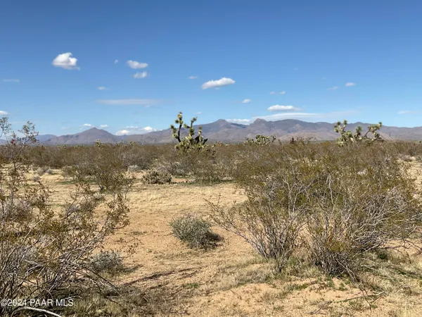 $25,000 | Tbe East Red Barrel Drive, Yucca, AZ 86438
