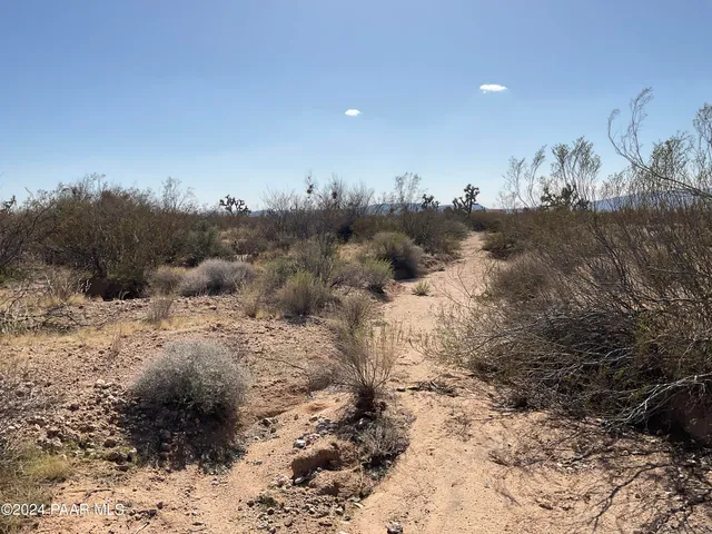 a view of a dry yard with a mountain