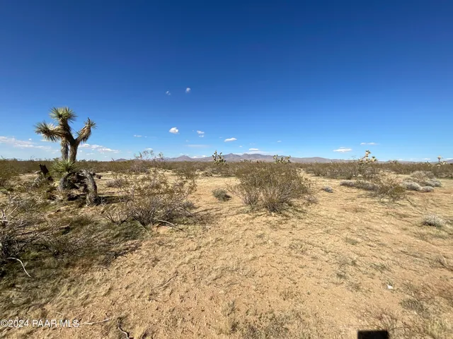 a view of a dry yard with wooden fence