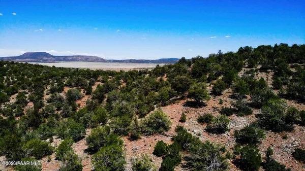 a view of a bunch of trees in a field