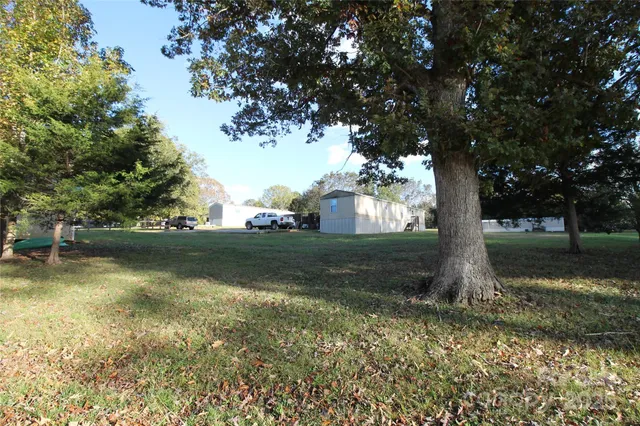 a view of backyard with tree